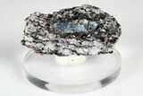 Blue Kyanite & Garnet in Biotite-Quartz Schist - Russia #178941-1